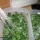 SPRINKLE WITH BAKING SODA AND FILL CONTAINER WITH COLD WATER.
