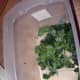 PLACE CLEAN TORN PIECES IN A CONTAINER