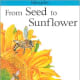 From Seed To Sunflower (Lifecycles) by Gerald Legg 