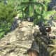 Archaeology 101 - Gameplay 02: Far Cry 3 Relic 93, Heron 3.