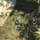 Archaeology 101 - Gameplay 05: Far Cry 3 Relic 97, Heron 7.