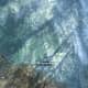 Archaeology 101 - Gameplay 02: Far Cry 3 Relic 36, Shark 6.