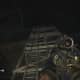 Archaeology 101 - Gameplay 05: Far Cry 3 Relic 65, Boar 5.