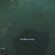 Archaeology 101 - Gameplay 03: Far Cry 3 Relic 36, Shark 6.