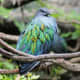 the-prettiest-animals-never-known