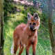 the-prettiest-animals-never-known