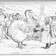 dodo-an-extinst-bird