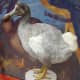 Dodo reconstruction reflecting new research at Oxford University Museum of Natural History