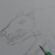 Drawing in some sharp teeth.