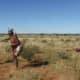 Khoisan keeping their tradition alive in South Africa