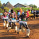 Tsonga-Shagaan wearing traditional clothes