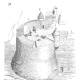 Roundel in Fort de Salses (southern France), 15th century, drawing by Viollet-le-Duc