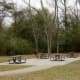 Park Picnic Tables