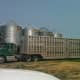 A semi-truck is a useful wind blocker, which can be moved around as winds shift.