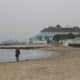 The Haven Hotel and Sandbanks Ferry from the beach at Shoreacres