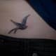 swallowtattoodesign-ideas