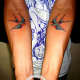swallowtattoodesign-ideas