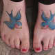 swallowtattoodesign-ideas