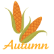 two corn ears clip art: autumn