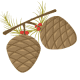 pine cones clip art