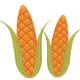 two corn ears clip art
