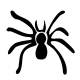Free black and white spider 