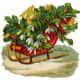 Vintage red sled filled with holly