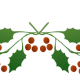 Botton holly border one.