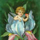 Vintage cupid in flower with heart