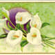Vintage Easter greeting card: White Easter lilies on a green background