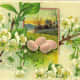 Easter flowers: Vintage Easter card with Easter eggs and white flowers on tree branches
