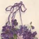 Vintage Easter greeting card: Basket of Easter violets painted by Ellen Clapsaddle &quot;Easter Greetings&quot;