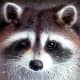 top-30-cutest-animals-in-the-world