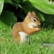 top-30-cutest-animals-in-the-world