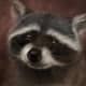 top-30-cutest-animals-in-the-world