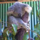 top-30-cutest-animals-in-the-world