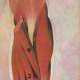 forearms