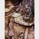 "Advice from a Caterpillar" by Arthur Rackham