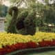 Many topiaries in the green spaces surrounding Main Street USA