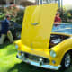 Ford T-Bird Convertible