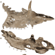 Here are actual bones found from the Kosmoceratops.