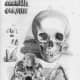 Skull Illustration Table 92 from Ontleding des menschlyken lichaams