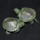 Shell less red-eared slider