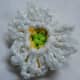 Daisy Flower Back View