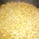 how-to-make-miso-bean-paste-or-fermented-soybean-paste