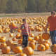 pumpkin-patches-in-central-oregon