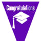 Graduation flag decoration -- purple