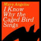 &quot;A bird doesn't sing because it has an answer, it sings because it has a song.&quot;   Maya Angelou  