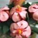 unique-cupcake-bouquets