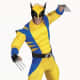 X Men - Wolverine Costume
